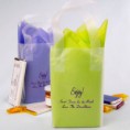 25Pcs 4 x 6 Custom Printed Frosted Petite Wedding Gift Bags